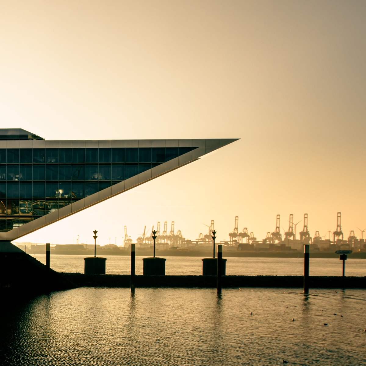 Kollektion Timeless Inspiration